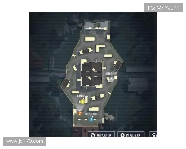 和平精英战术揭秘：深入了解BLG团队的制胜策略与战斗风格